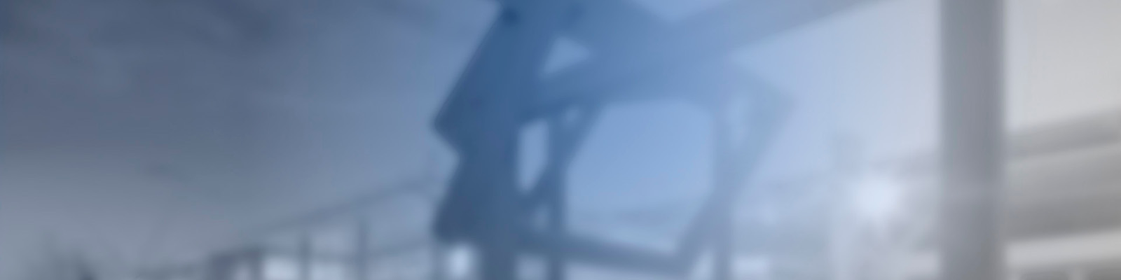 Business processes consulting and optimization