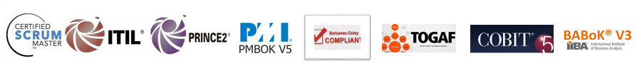 SCRUM, ITIL, Prince2, PMBOK, Complian, TOGAF, COBIT, BABOK